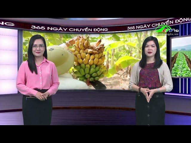 365 ngày chuyển động 20/03/2024 - Tin tức nông nghiệp | Lâm Đồng TV #thờisự