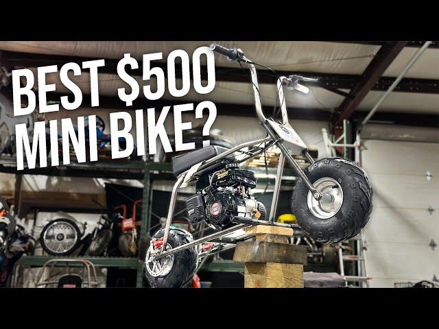 Best Budget Mini Bike? Rascal Lite Build + Race!