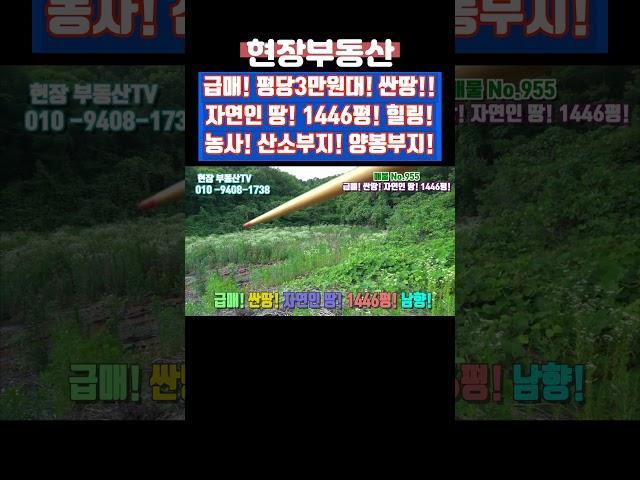 급매 자연인 땅 평당3만원대 산소부지 양봉부지 주말농장 1446평#급매 #싼땅 #자연인 #주말농장 #산소부지 #양봉 #가대리