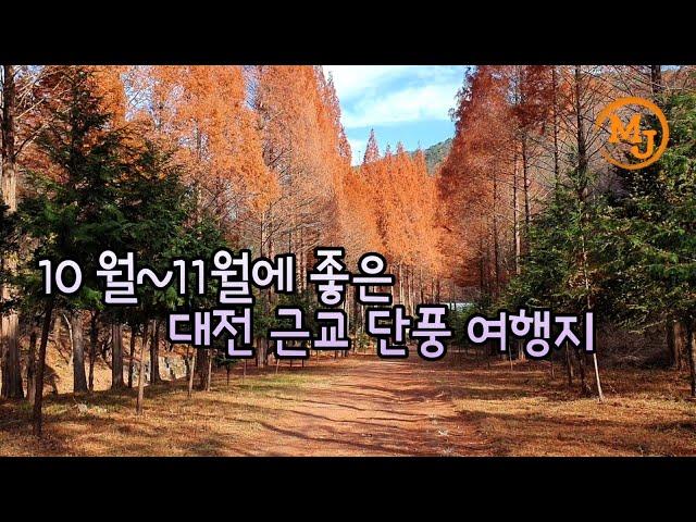 추천, 대전 근교 단풍 좋은 곳 -옥천 장령산. 논산 온빛자연휴양림/가볍게 떠나자(A nice place with autumn leaves near Daejeon)