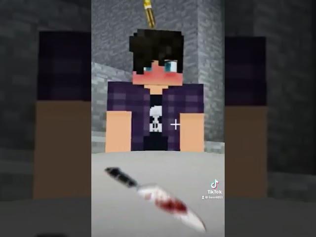 🩸Ein Killed￼ Aphmau￼