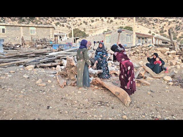 Iranian nomadic women breaking strong oak wood, traveling to several Iranian cities for work