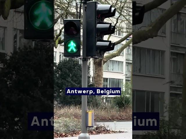 Diaries of a Shopify App Dev - Bugs in Belgium #ecommerce #appdev #shopify #dropshipping #appdev