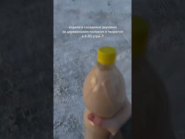 тг: лисий домик