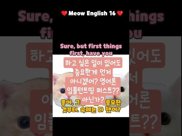 Meow English 16(중요한 것 먼저 해야지. First things first.)