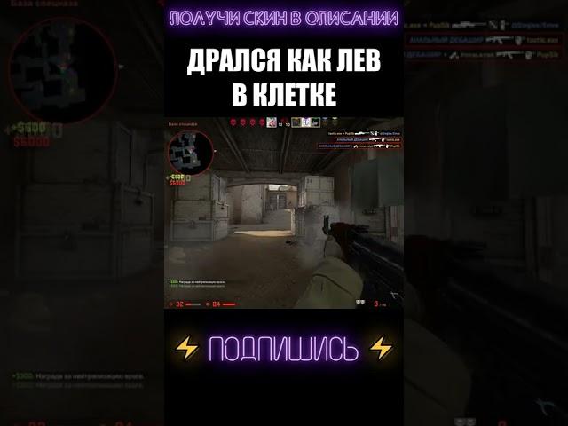 ЛЬВИНАЯ ВОЛЯ К ПОБЕДЕ #shorts #cs #csgolive #csgoclips #кска #ксго #кс #го #go #ксгоприколы