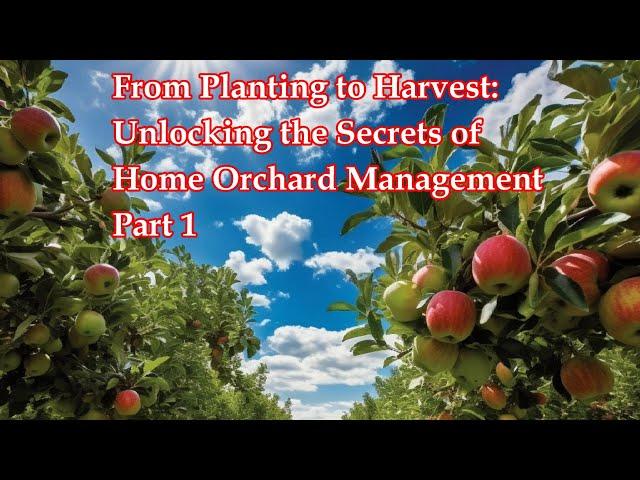 From Planting to Harvest: Unlocking the Secrets of Home Orchard Management Part 1