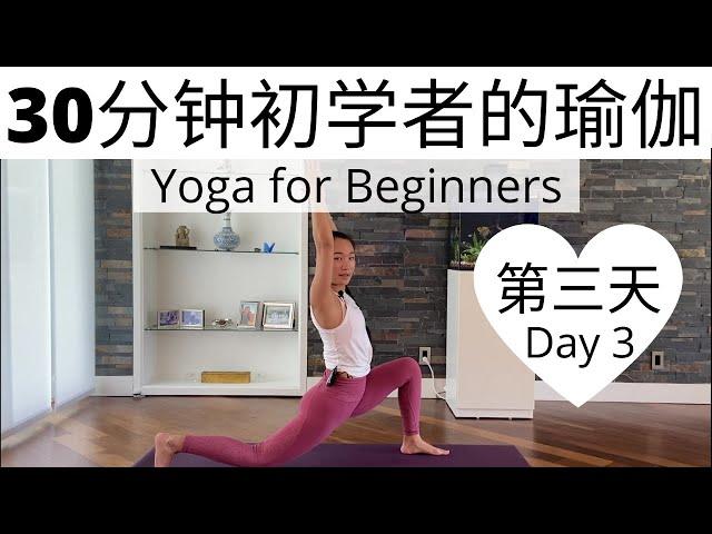 【30分钟初学者的瑜伽课程 Day 3 】零基础瑜伽入门系列课程 | Yoga for Beginners Series #3