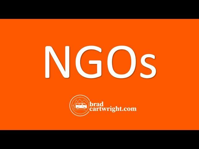 What are Non-Government Organizations (NGOs)? | Development | The Global Economy | IB Exam Review