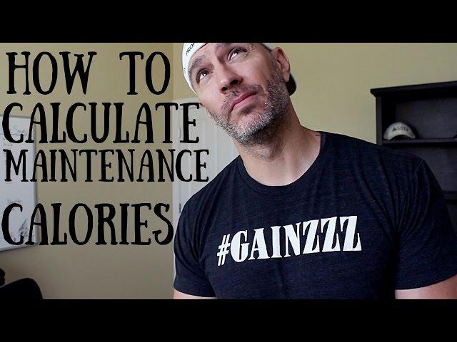 How To Calculate Maintenance Calories