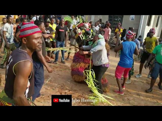 A true igbo Traditional masquerade festival that broke the Internet