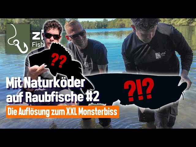 Raubfische mit Naturköder überlisten -Teil 2: Barsch & Zander geplant, doch dann dieser Knallerbiss!