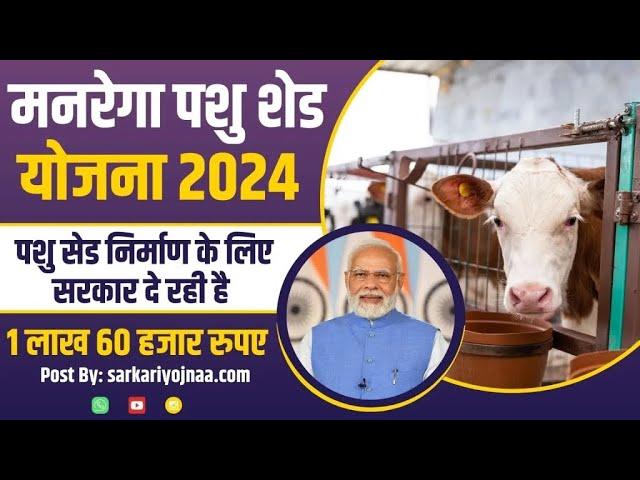 MNREGA Pashu Shed Yojana 2024: How to Apply and Benefits Exp