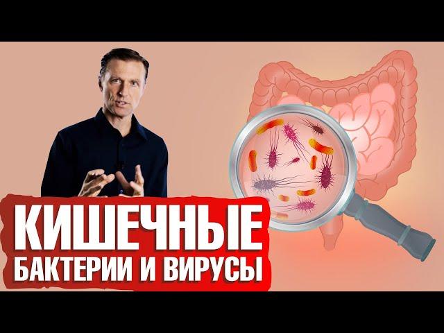 Микробиом кишечника. Зачем полезные бактерии нужны вашему кишечнику.