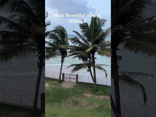 Timeless villa,Mirissa,Srilanka #srilankatravelvlog #seaviewvilla #mirissa