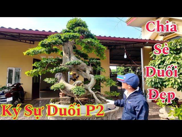 CHIA SẺ-BÁO GIÁ nhiều tác phẩm DUỐI ĐẸP-DUỐI KHỦNG gửi đến ae chơi cây trên cả nước