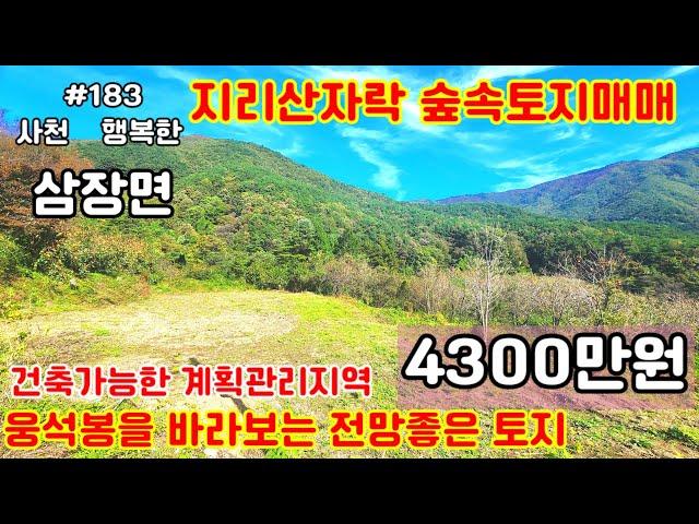 [건축가능한숲속토지매매]지리산자락삼장면건축가능한계획관리지역소형토지매물입니다#숲속토지매매#산청군토지매매#삼장면땅#싼땅#싼토지매매#삱덩부동산#행복한부동산 #홍계리싼땅