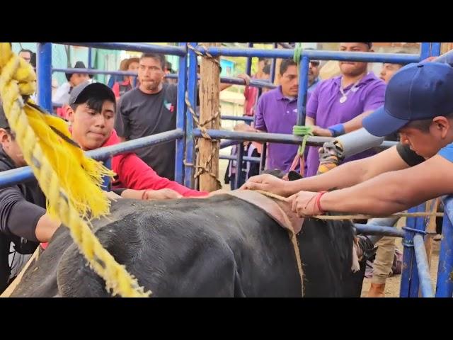 Santa Catarina Yahuio | Jaripeo Ranchero Tradicional | 26 De Noviembre 2023.