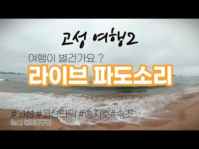 [강원도 고성 여행 2편] 국내여행 강원도 고성 송지호 철새관망타워 그리고 송지호 해수욕장과 속초 해수욕장 봉포머구리