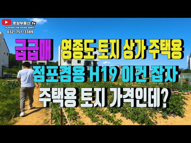 영종도 토지 상가와 주택 겸용 가능 점포주택용 토지 일명 H19 가격이 아주 좋은 토지입니다 하늘도시 위치 한 상가주택 용 토지 강력 추천~!!