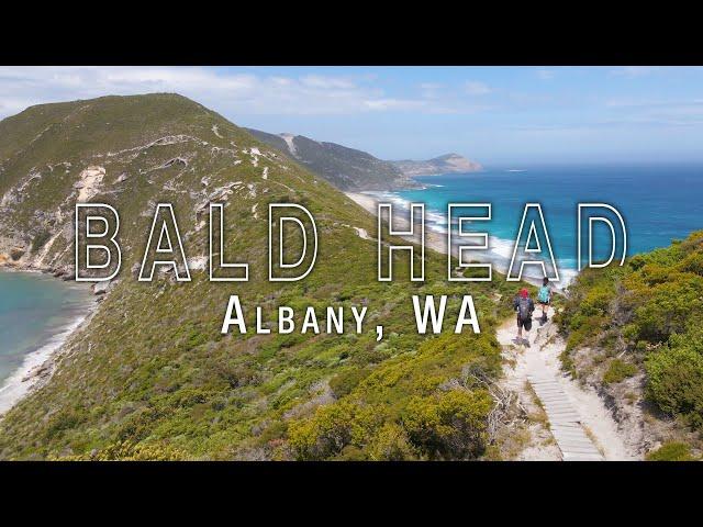 The Best Day Hike in Albany | BALD HEAD TRACK |  Torndirrup National Park