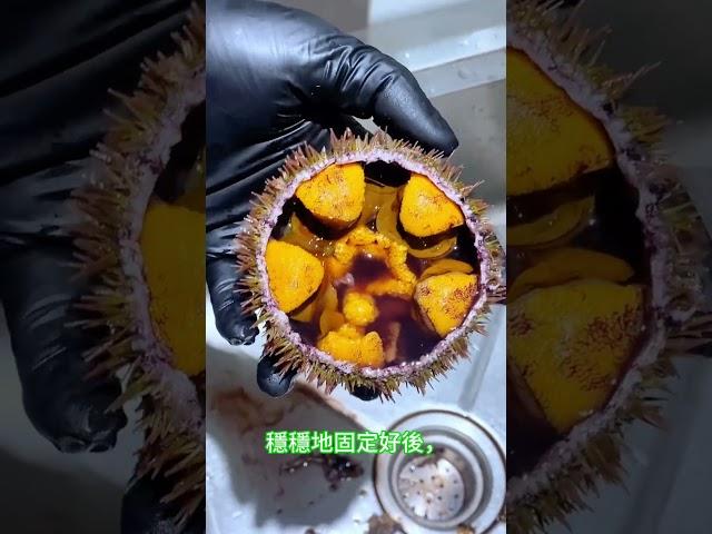 海膽-原來要這樣拆解，才能保持原味，學會快去試試看#釣魚的樂趣只有釣魚人懂  #流量回來 #流量 #推薦