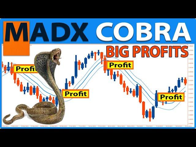 The Only MA & ADX Indicator Trading Strategy You Will Ever Need (FULL TUTORIAL) - MADX Cobra System