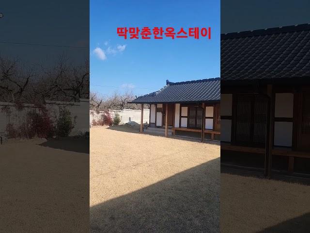 #청도한옥 #청도부동산 #청도무한부동산