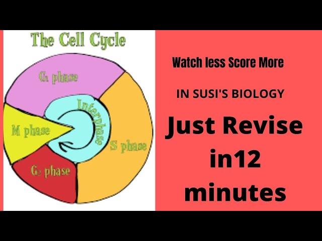 CELL CYCLE AND CELL DIVISION|Watch less!Score more!|only important points to remember