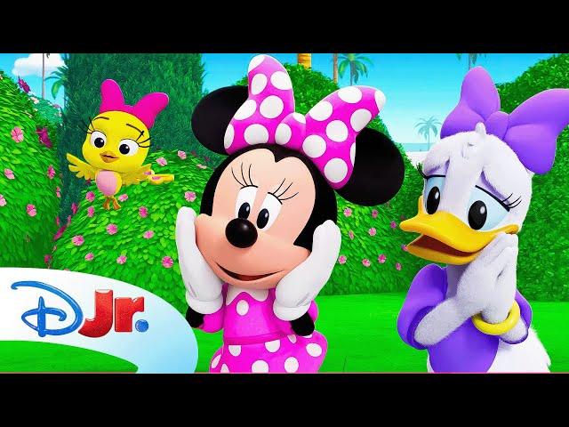 Minnie and Daisy's Puppy Pool Party! ️️ | Minnie's Bow-Toons: Pet Hotel | @disneyjr​