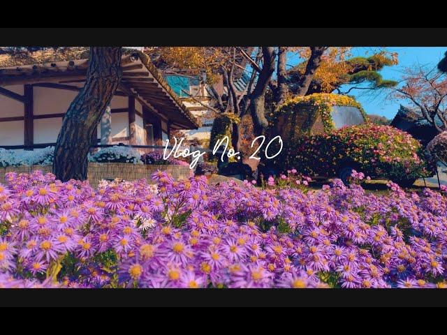 Vlog No. 20 | Autumn in Korea 2022 - Exploring Seoul, Nami Island, Garden of the Morning Calm