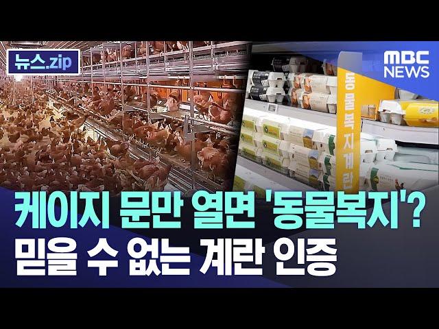 케이지 문만 열면 '동물복지'? 믿을 수 없는 계란 인증 [뉴스.zip/MBC뉴스]