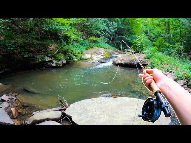 Fly Fishing For BIG Native Brook Trout! (Creek Fishing)