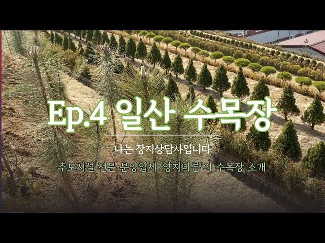 Ep.4 일산 수목장ㅣ가격문의_ 박혜수 실장 (010-8807-8011)