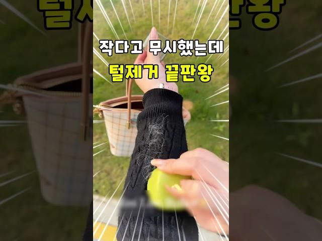 외출하고 나서 옷에 털 붙은 거 보고 당황해본 사람?