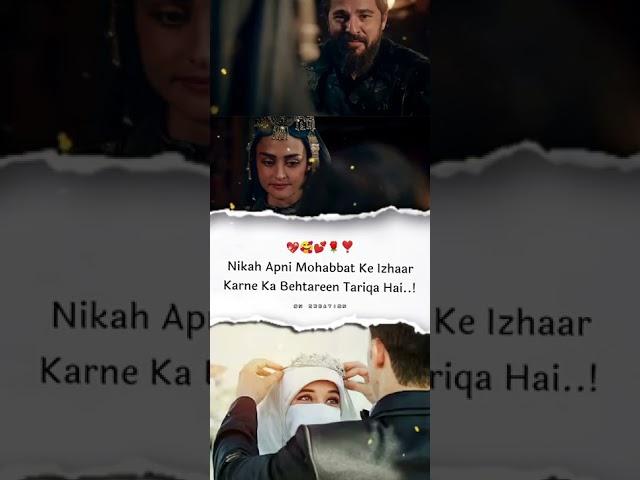 New Ertugrul Gazi Halima Sultan Love Status Nikah Par Best Lines Status #Nikah #Ertugrulhalima