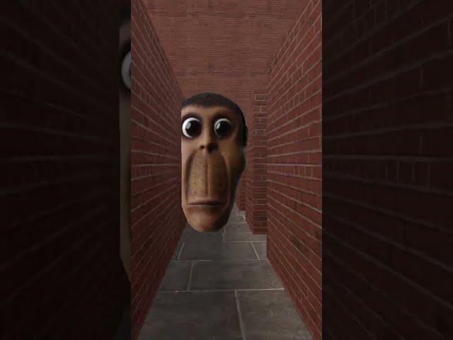vs. Obunga #3
