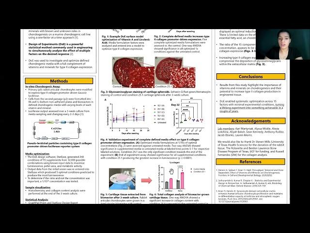 Yamilet Gonzales ORS2022 DoE Media Optimization for Tissue Engineered Rabbit Articular Cartilage
