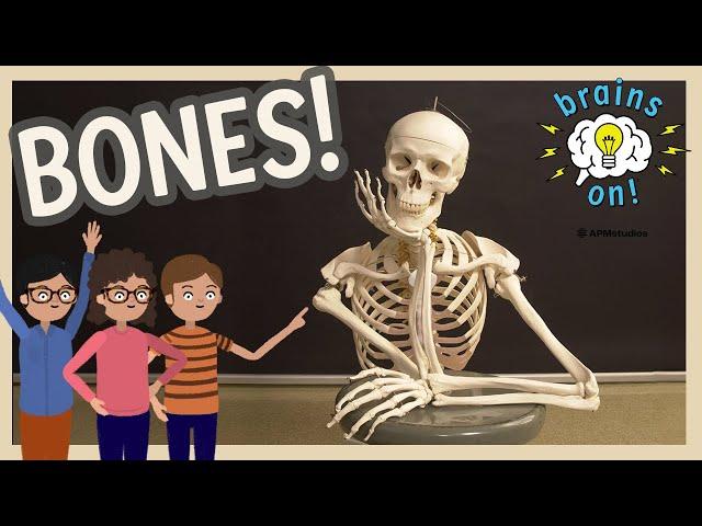 Bones From The Inside Out! | Brains On! Science Podcast For Kids