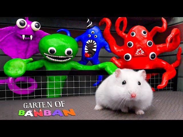 All New Monster Challenges: Hamster Escape From New Monster In Garten Of Banban Maze