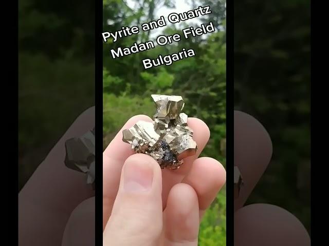 Pyrite and Quartz From Bulgaria  #crystals #gems #nature #minerals