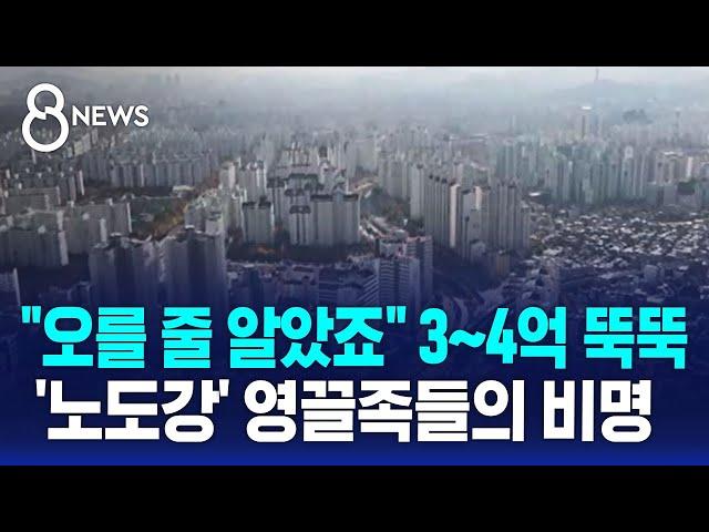 "오를 줄 알았죠" 3~4억 뚝뚝…'노도강' 영끌족의 비명 / SBS 8뉴스