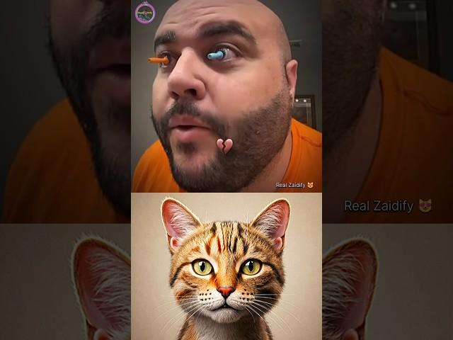 give this video title (warning answer) #cat #meme #funny