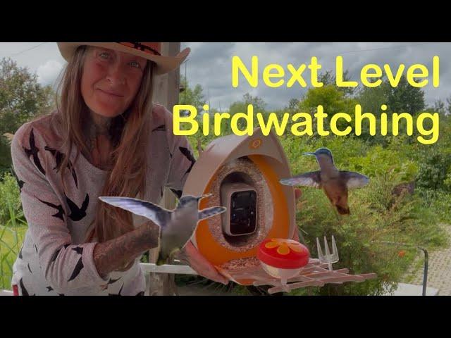 Discreet Security and Birdwatching PECKPERK Bird Feeder Cam