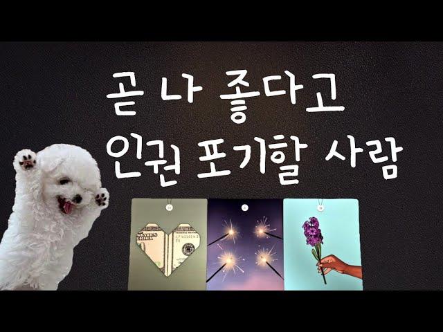 [연애운타로] 곧 나 좋다고 인권 포기할 사람/외모, 성격, 직업, 궁합, 시기, 조언️