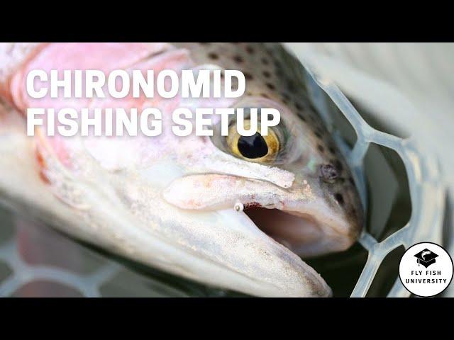 Chironomid Fishing Setup for Fly Fishing Stillwaters (2021)