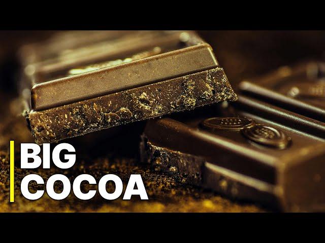 Big Cocoa - La Lucha de Precios en África Occidental | Grandes empresas y pequeños agricultores