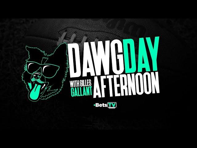 Wild Card Weekend NFL Picks, Betting Odds & Futures | Dawg Day Afternoon