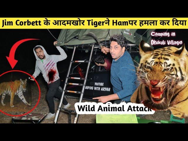 A tiger attacked a woman in dhikuli Jim Corbett | Night Camping in forest | Camping video #camping