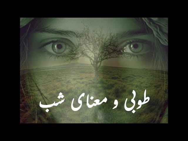 طوبی و معنای شب قسمت هشت